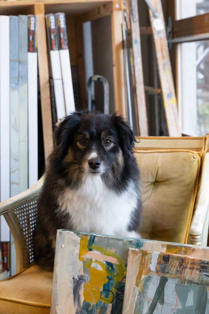 Shelley Bolton art studio dog